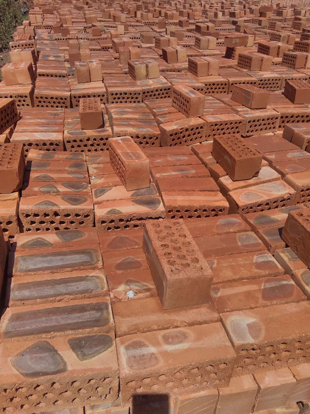 煤矸石烧结多孔砖图片大全